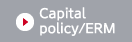 Capital policy/ERM