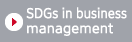 SDGs in business management