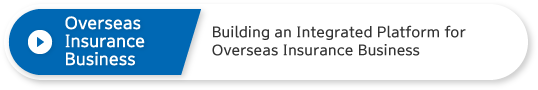 Overseas Insurance Business