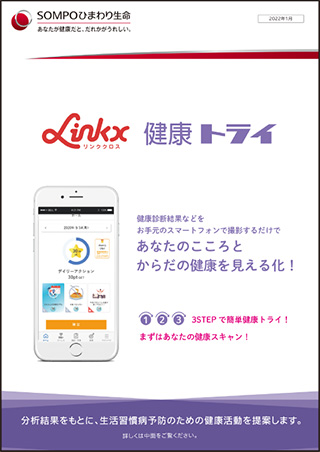 picture:LinkX